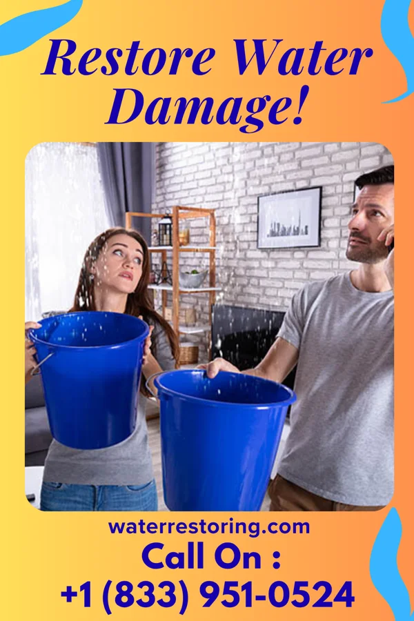 water restoration North Property Restoration Force North Industry