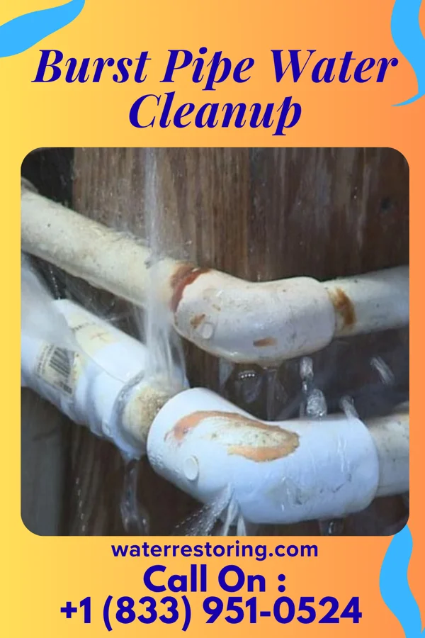 Burst Pipe Water Cleanup in North Industry, OH