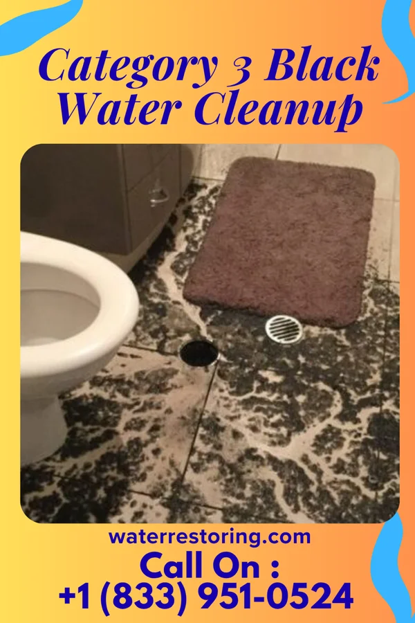 Category 3 Black Water Cleanup in North Industry, OH