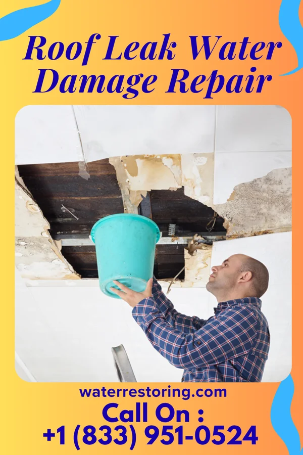 Roof Leak Water Damage Repair in North Industry, OH