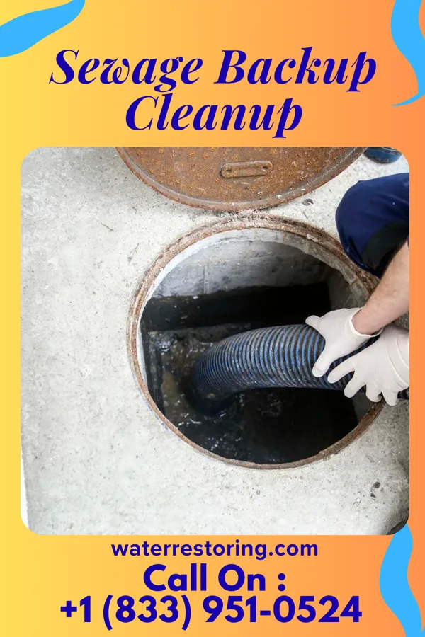 Sewage Backup Cleanup in North Industry, OH